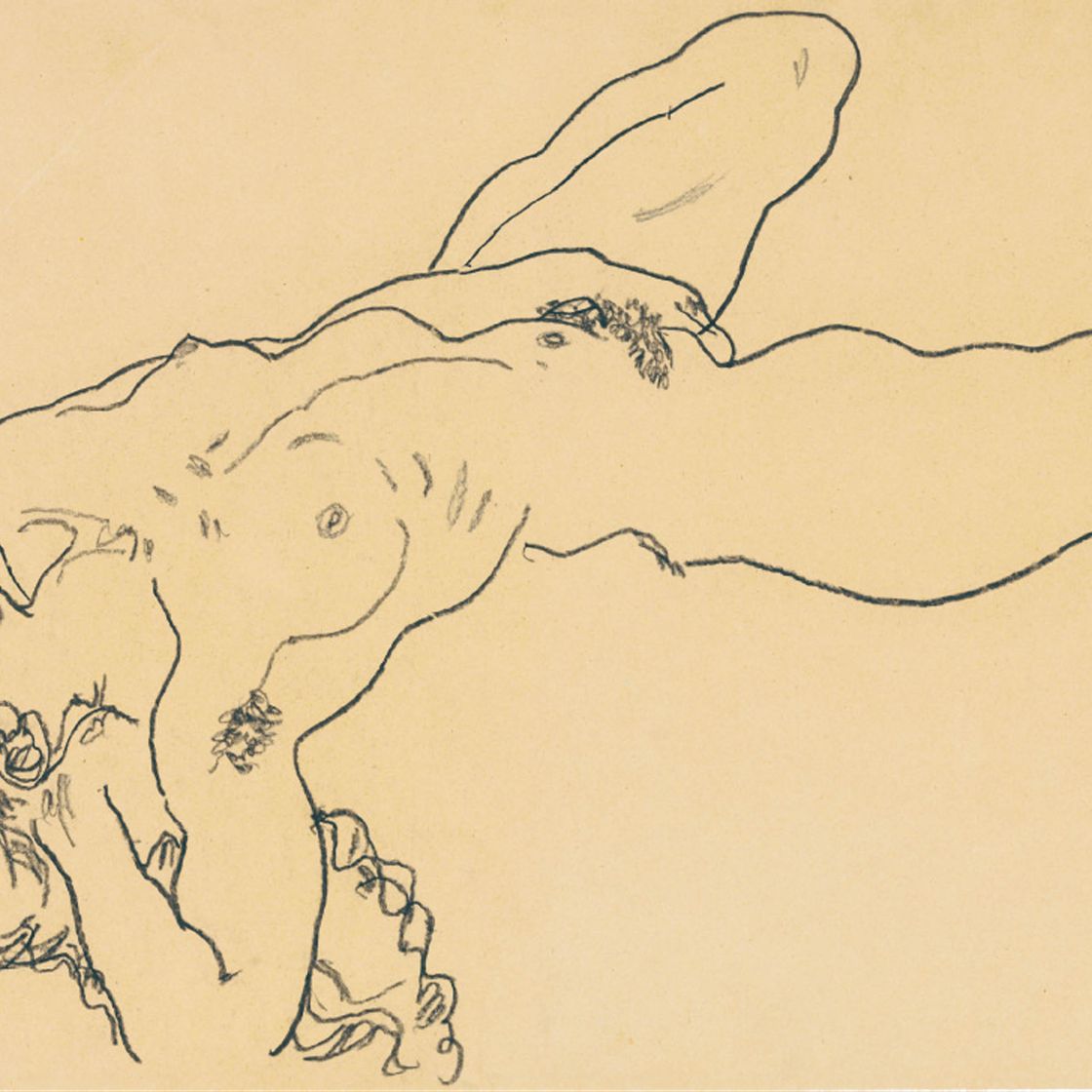 Egon Schiele — Законный представитель
