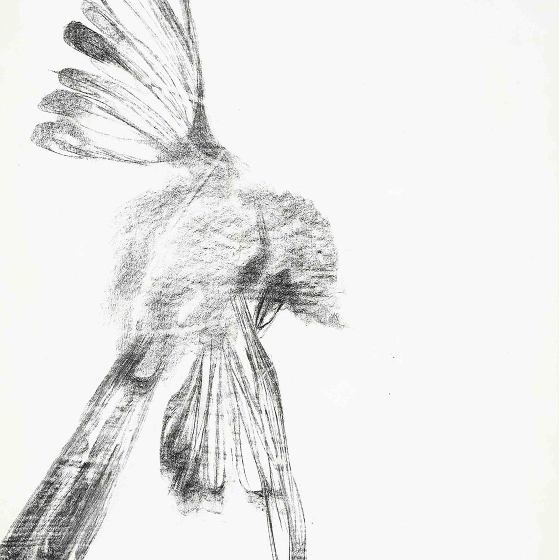 Elisabeth Frink — Птица