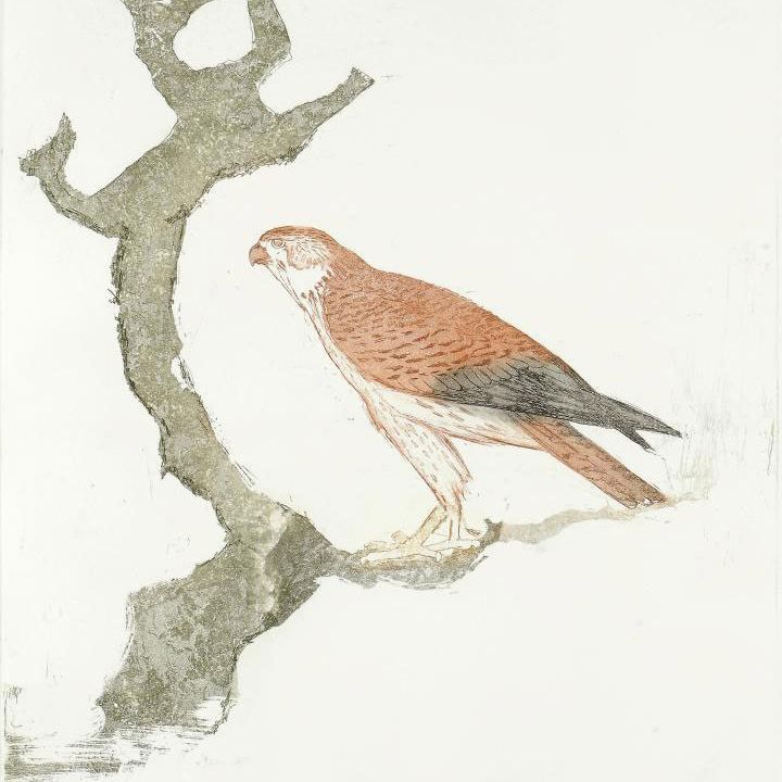 Elisabeth Frink — Пустельга из "Хищных птиц" (Wiseman 112)