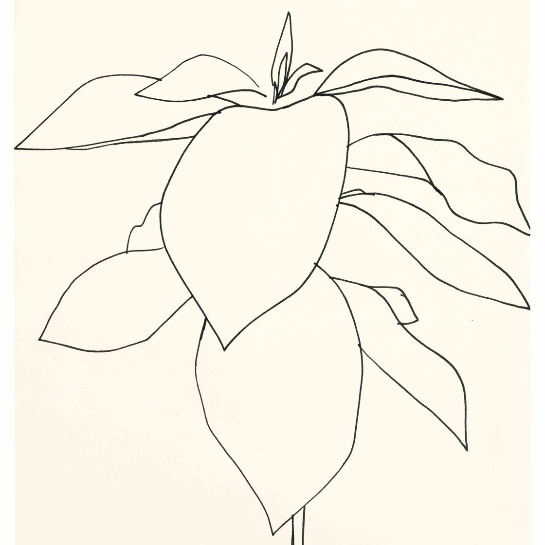 Ellsworth Kelly — Авокадо