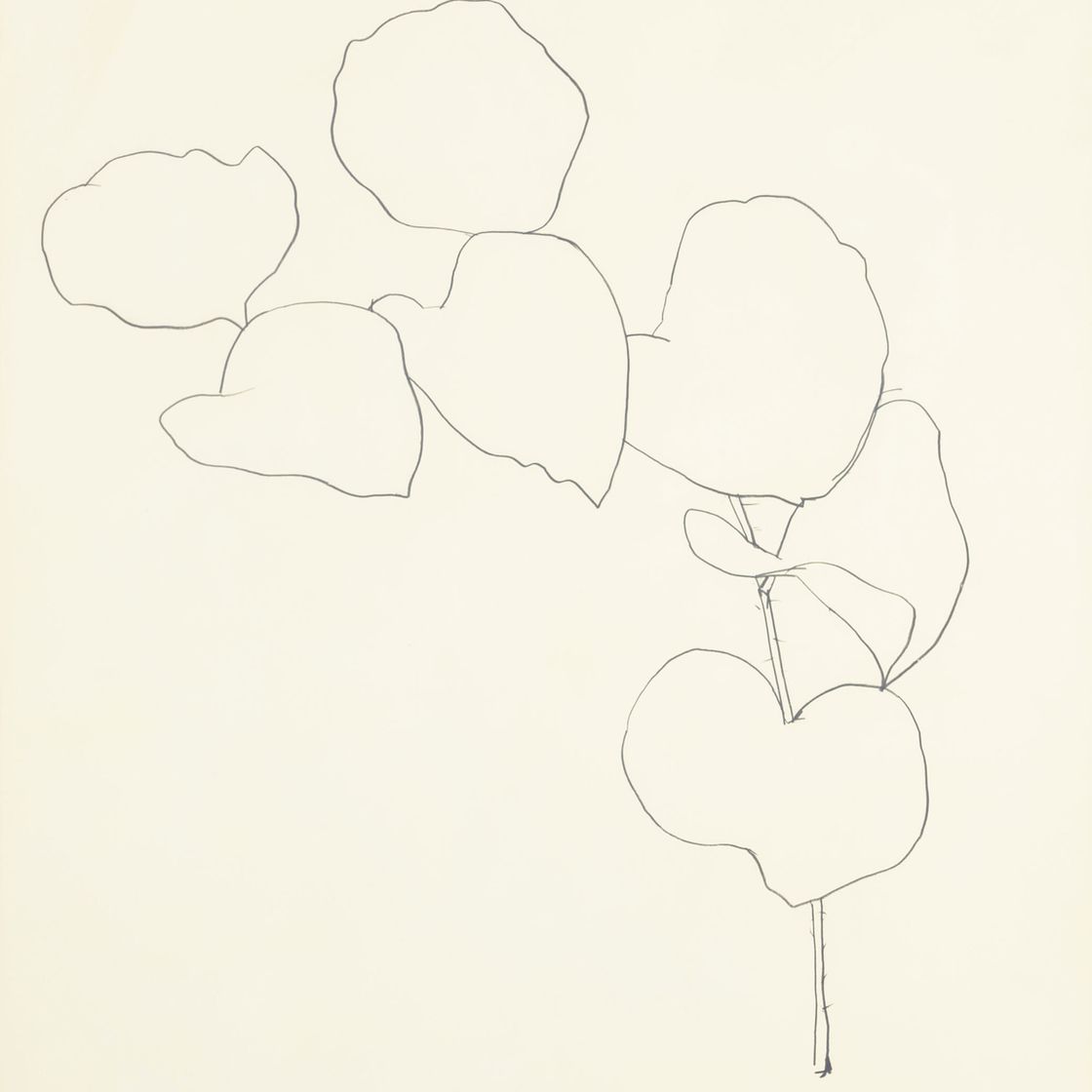 Ellsworth Kelly — Шиповник