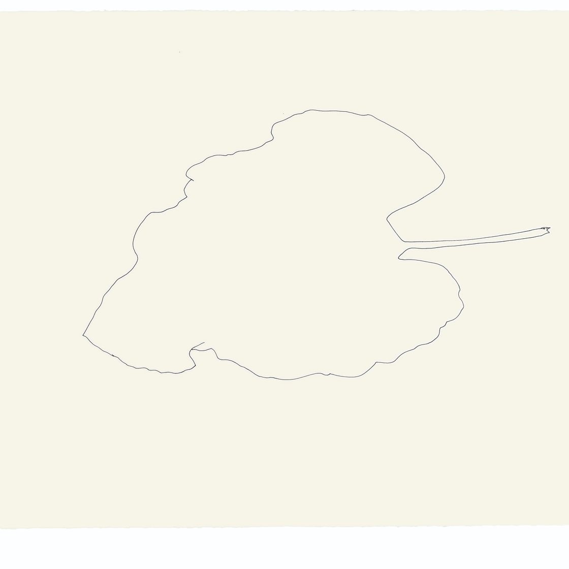 Ellsworth Kelly — Лопух