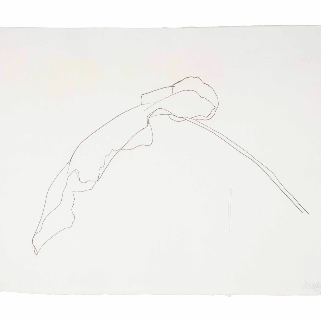 Ellsworth Kelly — Лопух