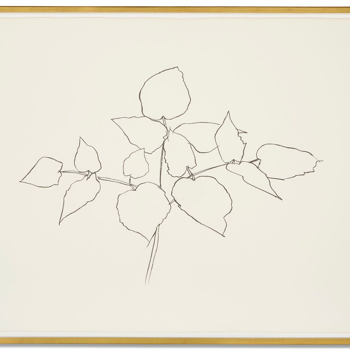 Ellsworth Kelly — Лесное растение