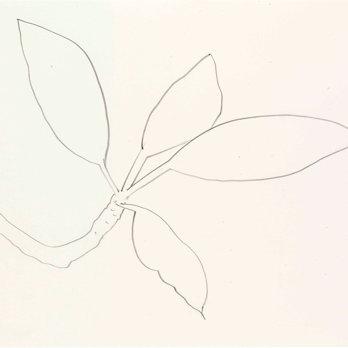 Ellsworth Kelly — Листья