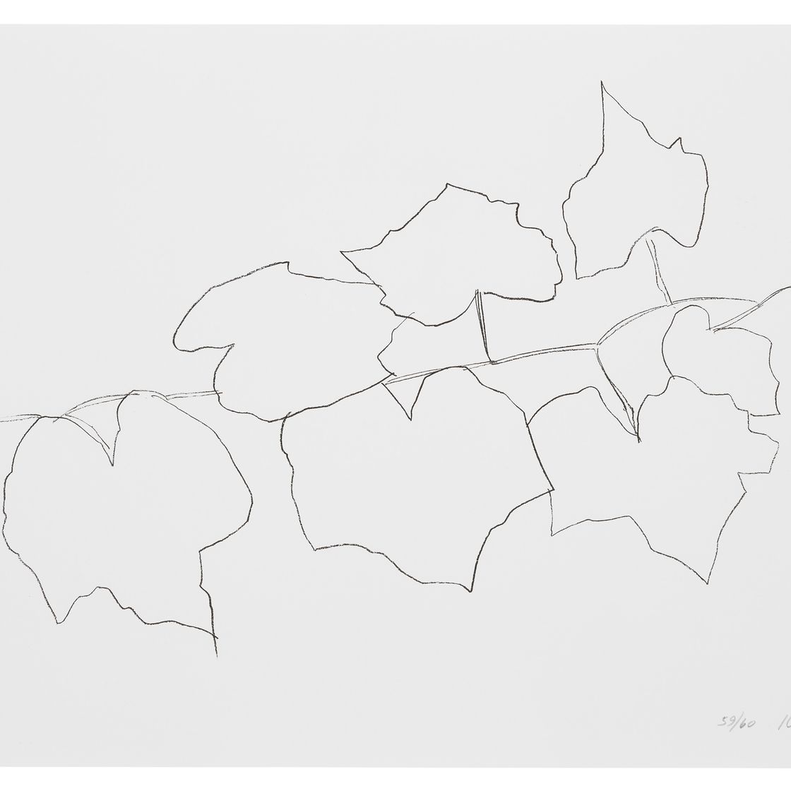 Ellsworth Kelly — Листья дикого винограда II, из серии из пяти литографий растений и цветов