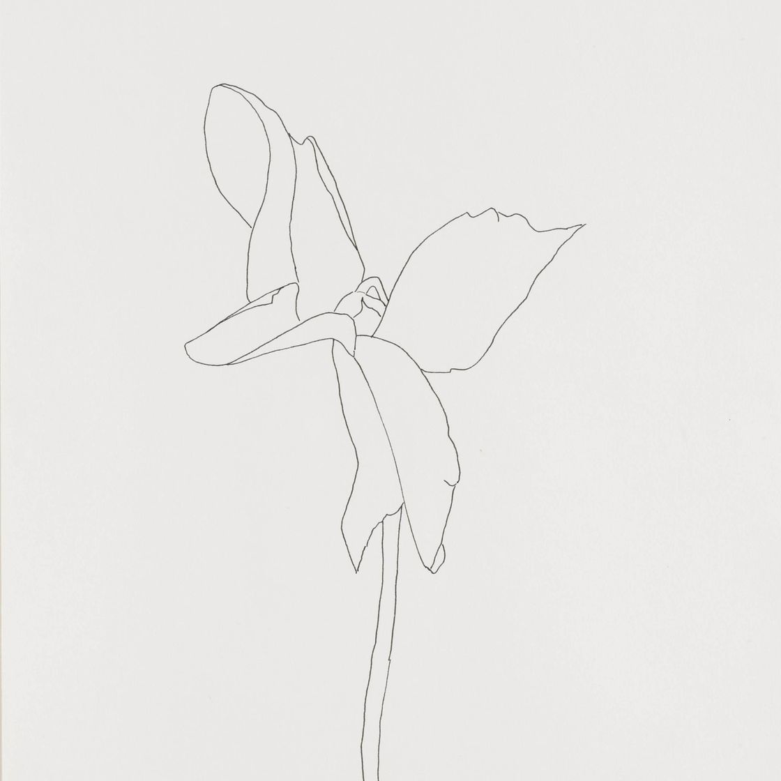 Ellsworth Kelly — Без названия