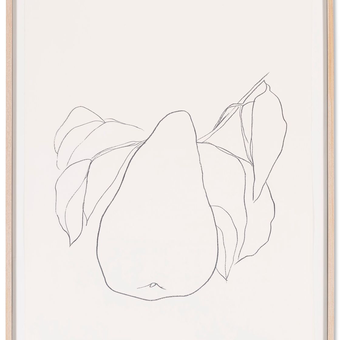 Ellsworth Kelly — Груша III, из серии литографий растений, изображение 2