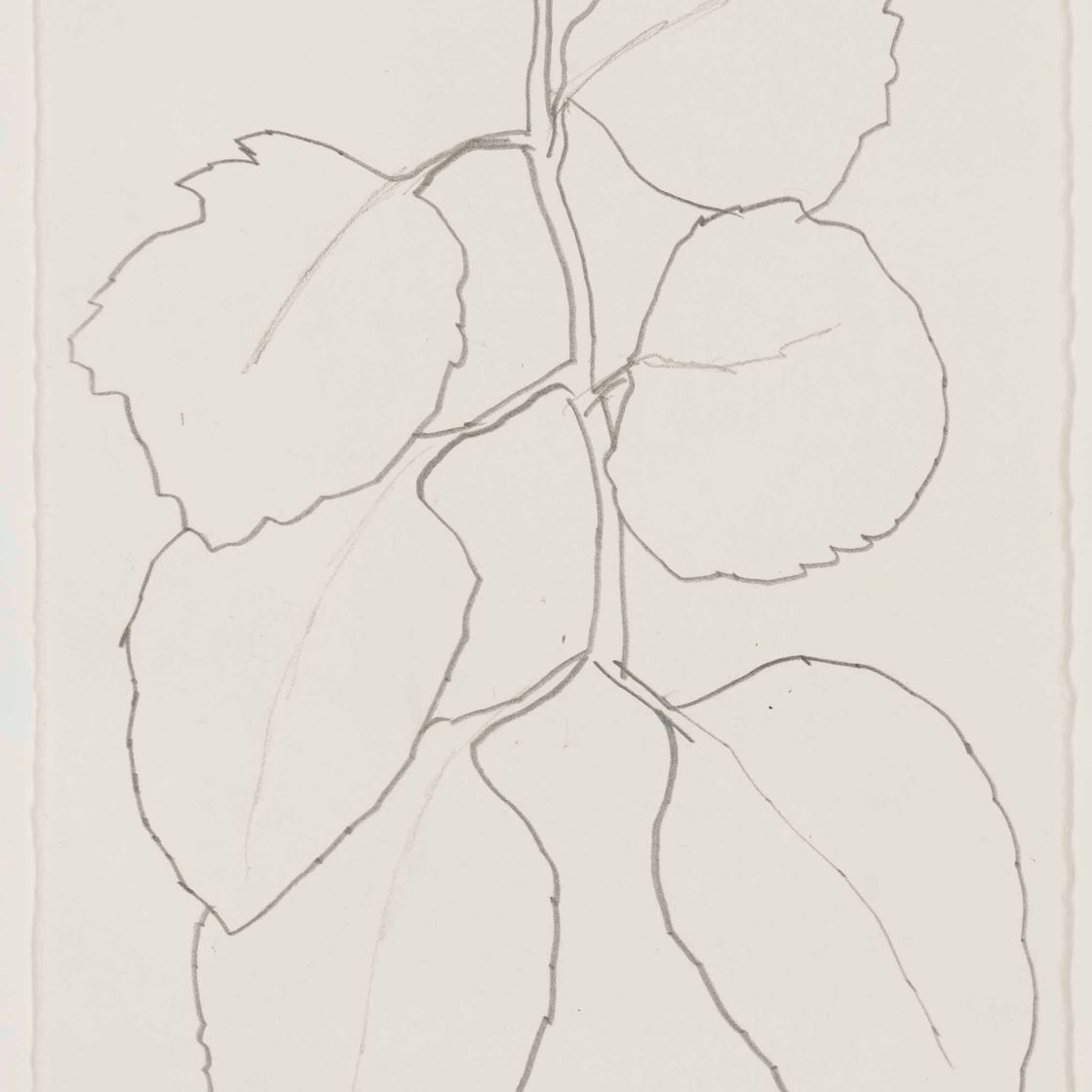 Ellsworth Kelly — Без названия