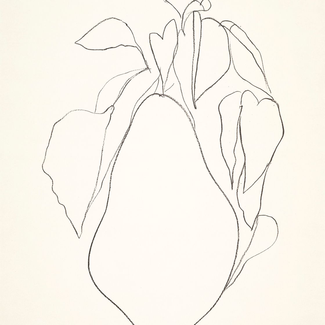 Ellsworth Kelly — Груша I, из серии литографий растений, изображение 1