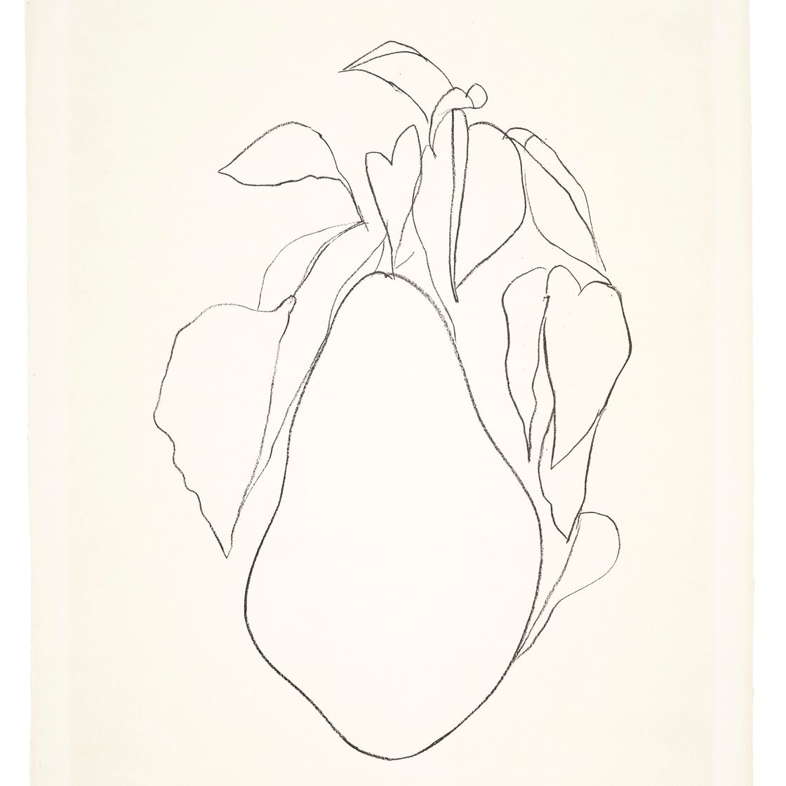 Ellsworth Kelly — Груша I, из серии литографий растений, изображение 3