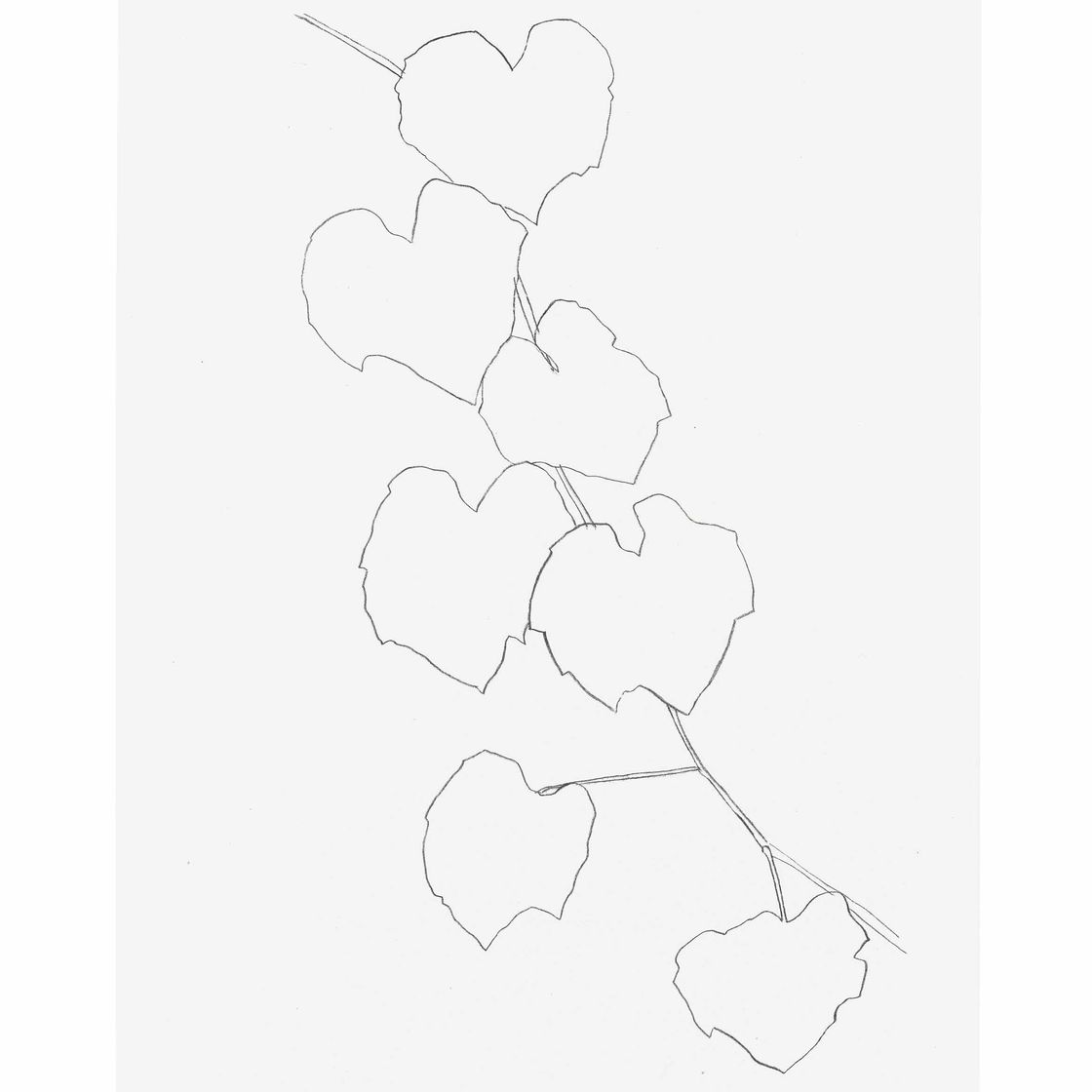 Ellsworth Kelly — Виноградные листья II, из листьев
