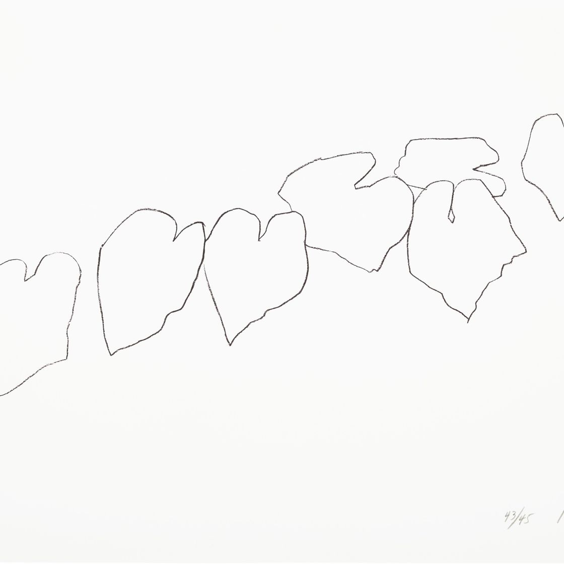 Ellsworth Kelly — Листья дикого винограда I, из пяти литографий с растениями и цветами