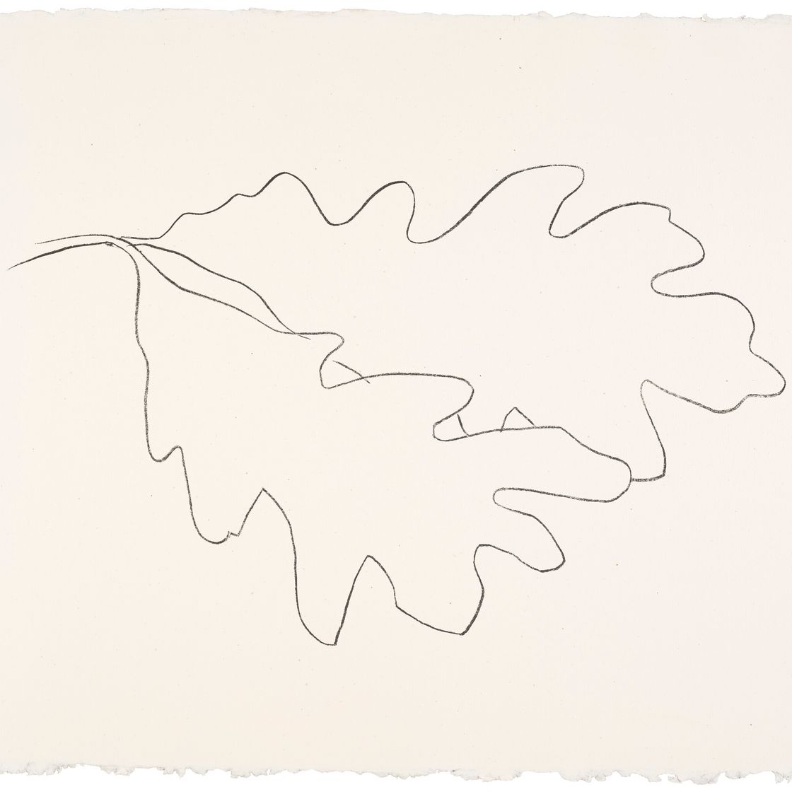 Ellsworth Kelly — Дуб VII, из дубовых листьев