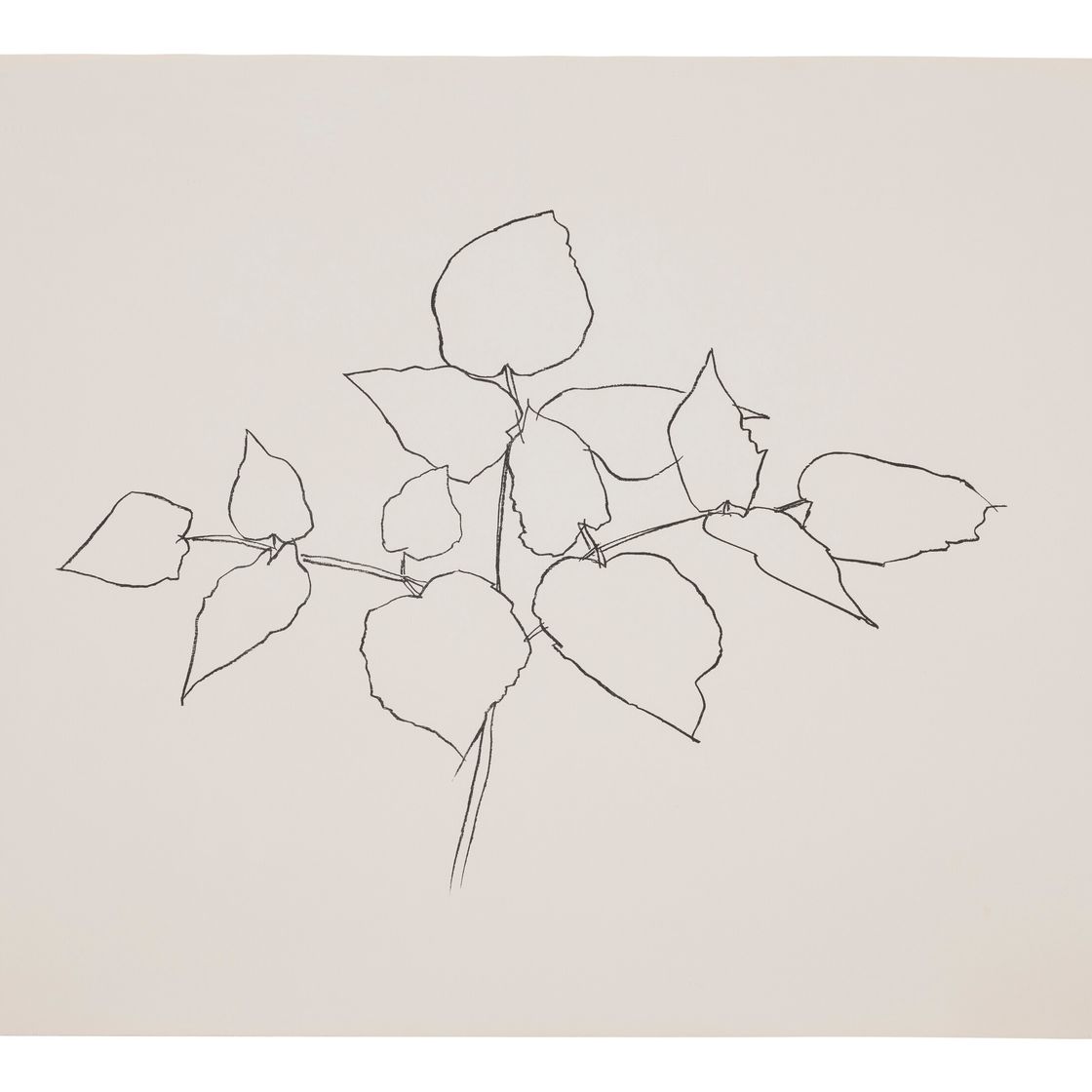 Ellsworth Kelly — Лесное растение