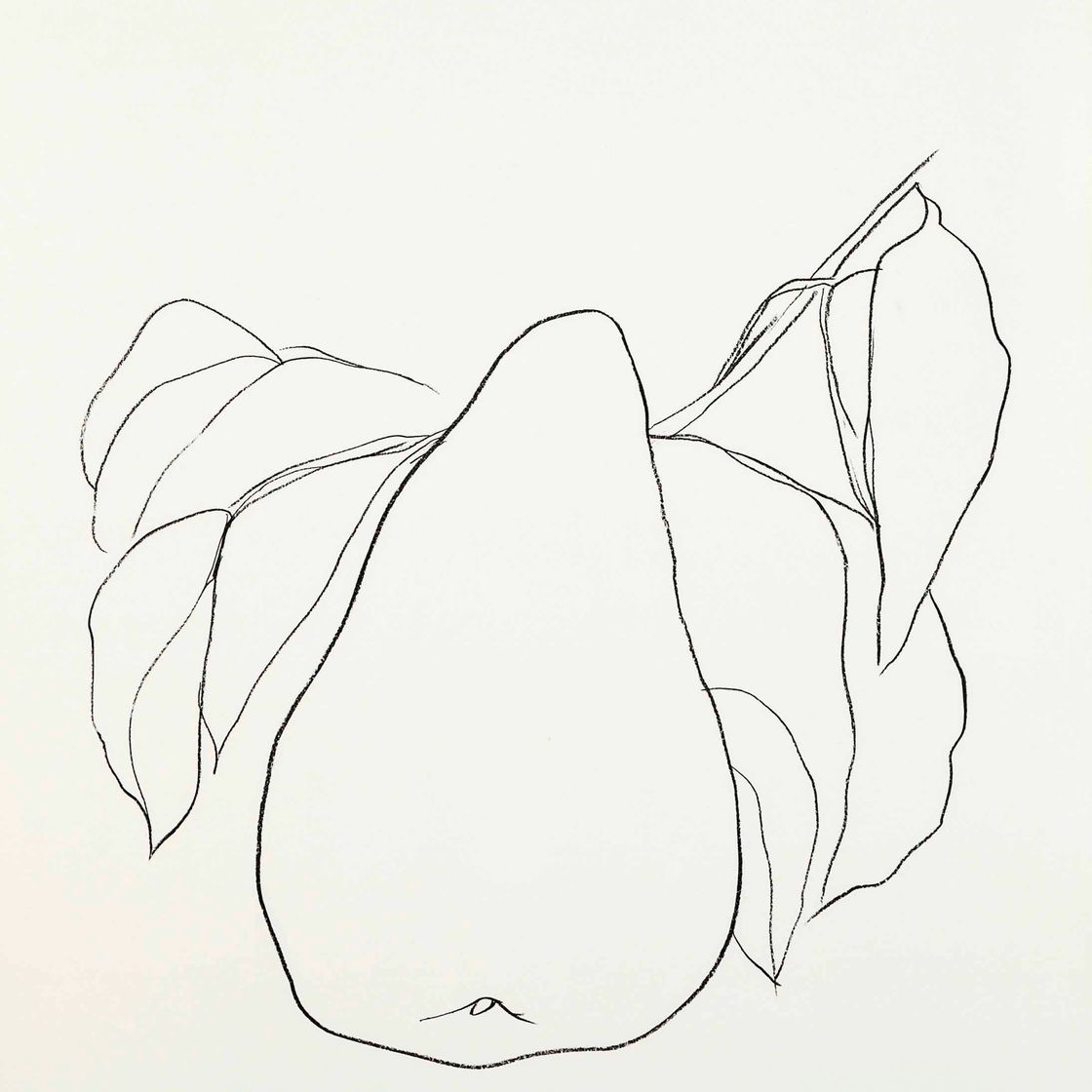 Ellsworth Kelly — Груша III, из серии литографий растений