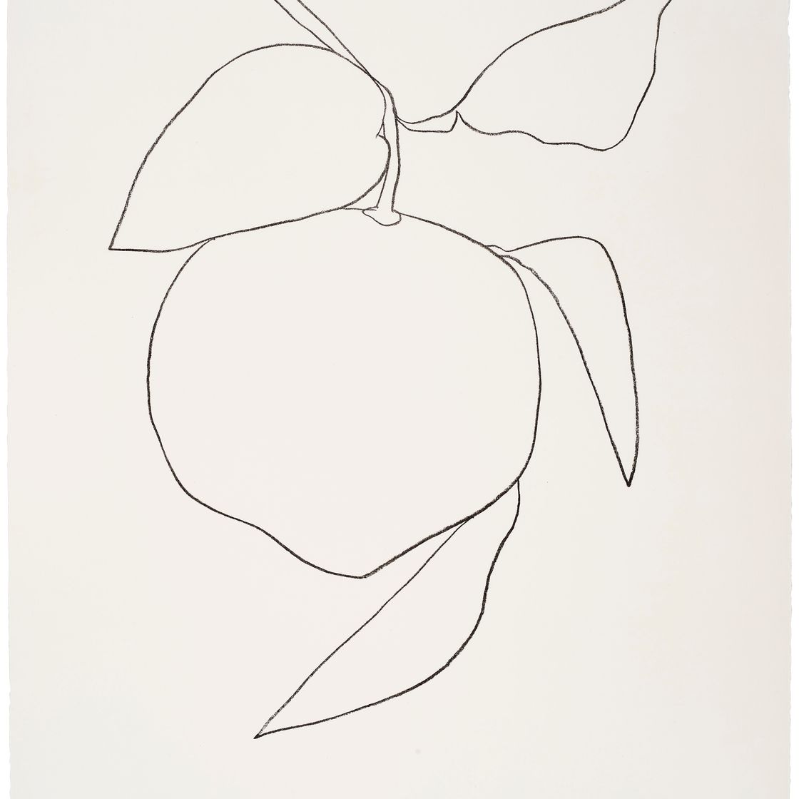 Ellsworth Kelly — Грейпфрут (Памплемусс) из серии растительных литографий