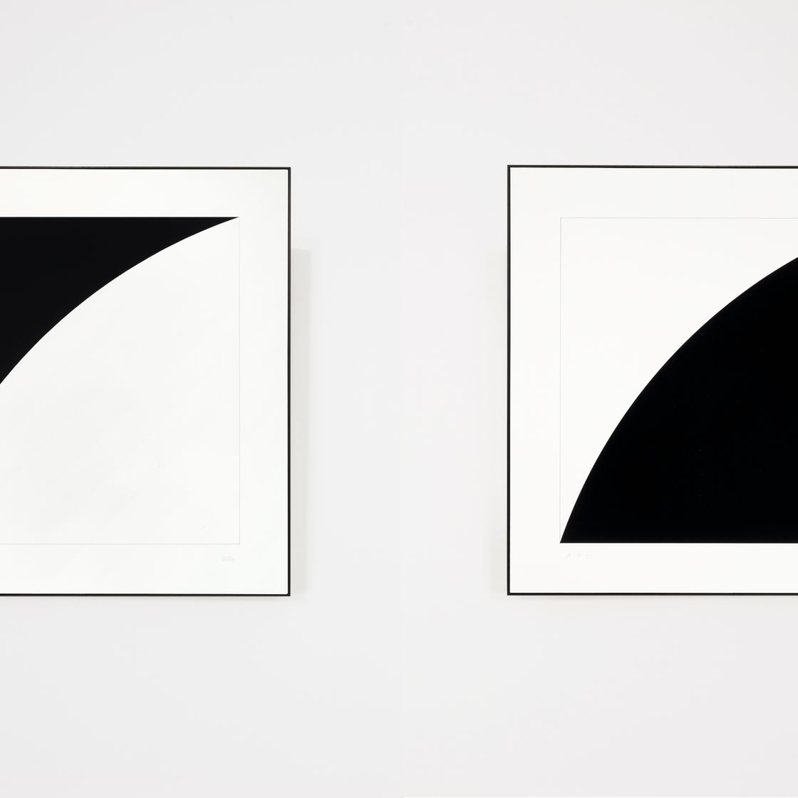 Ellsworth Kelly — Первая серия кривых: две пластины, изображение 2