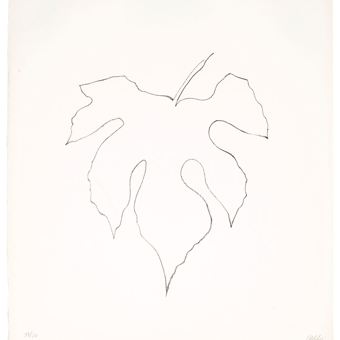 Ellsworth Kelly — Листья дикого винограда