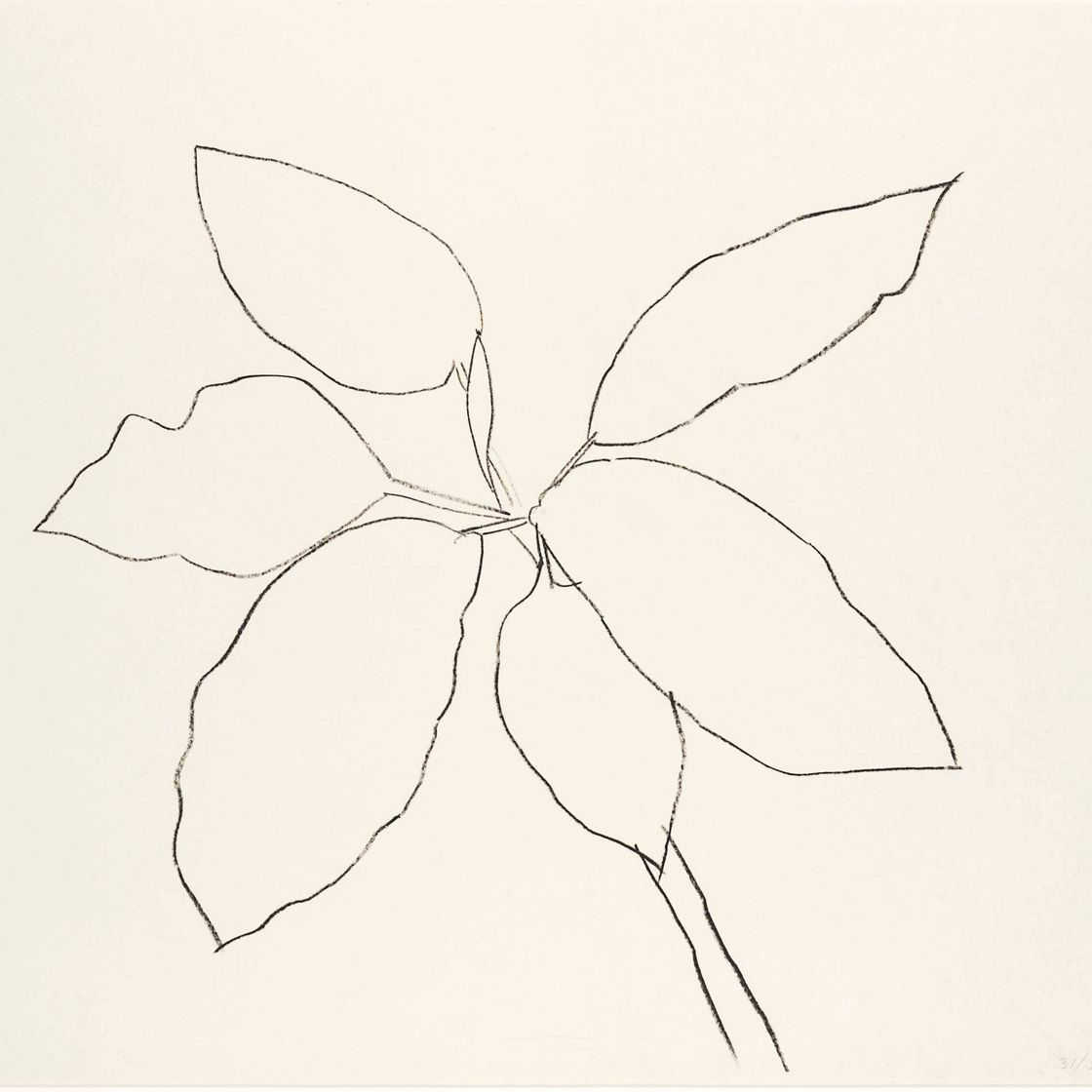 Ellsworth Kelly — Тропическое растение Сен-Мартен (A. 192)