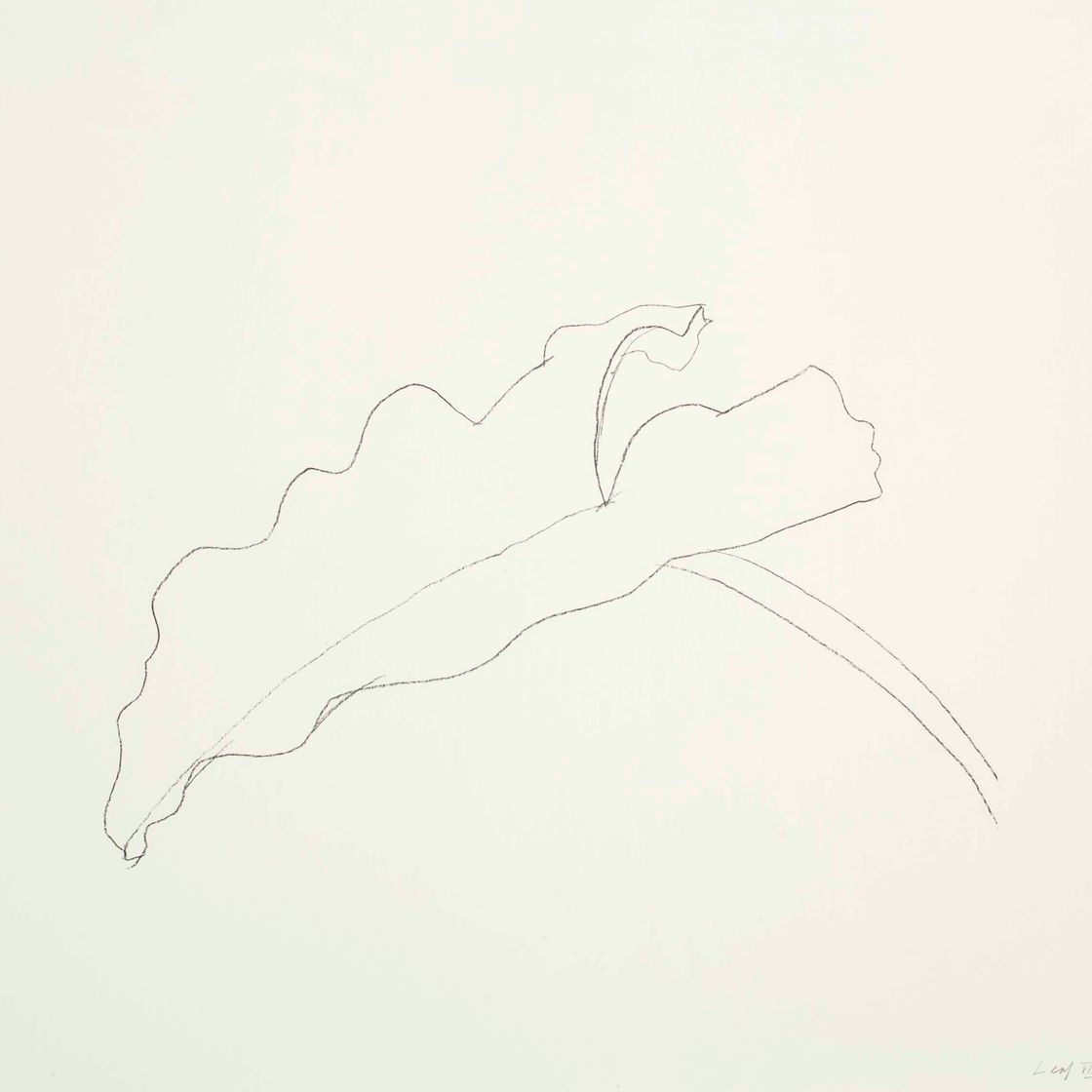 Ellsworth Kelly — Лист VIII, из двенадцати листов