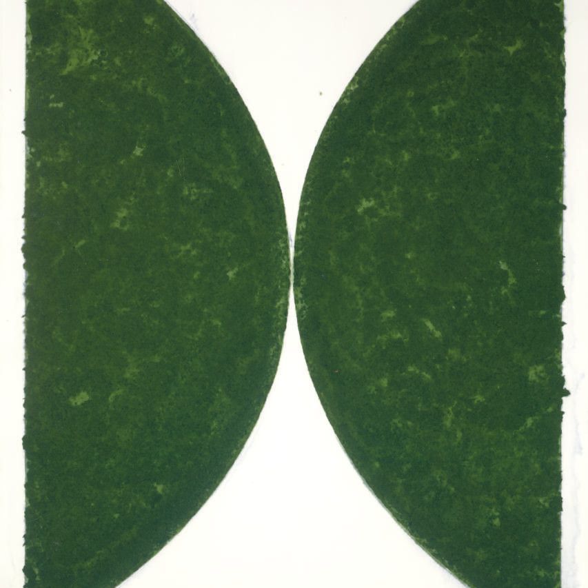 Ellsworth Kelly — Изображение на цветной бумаге II (темно-зеленая кривая) (A. 142)