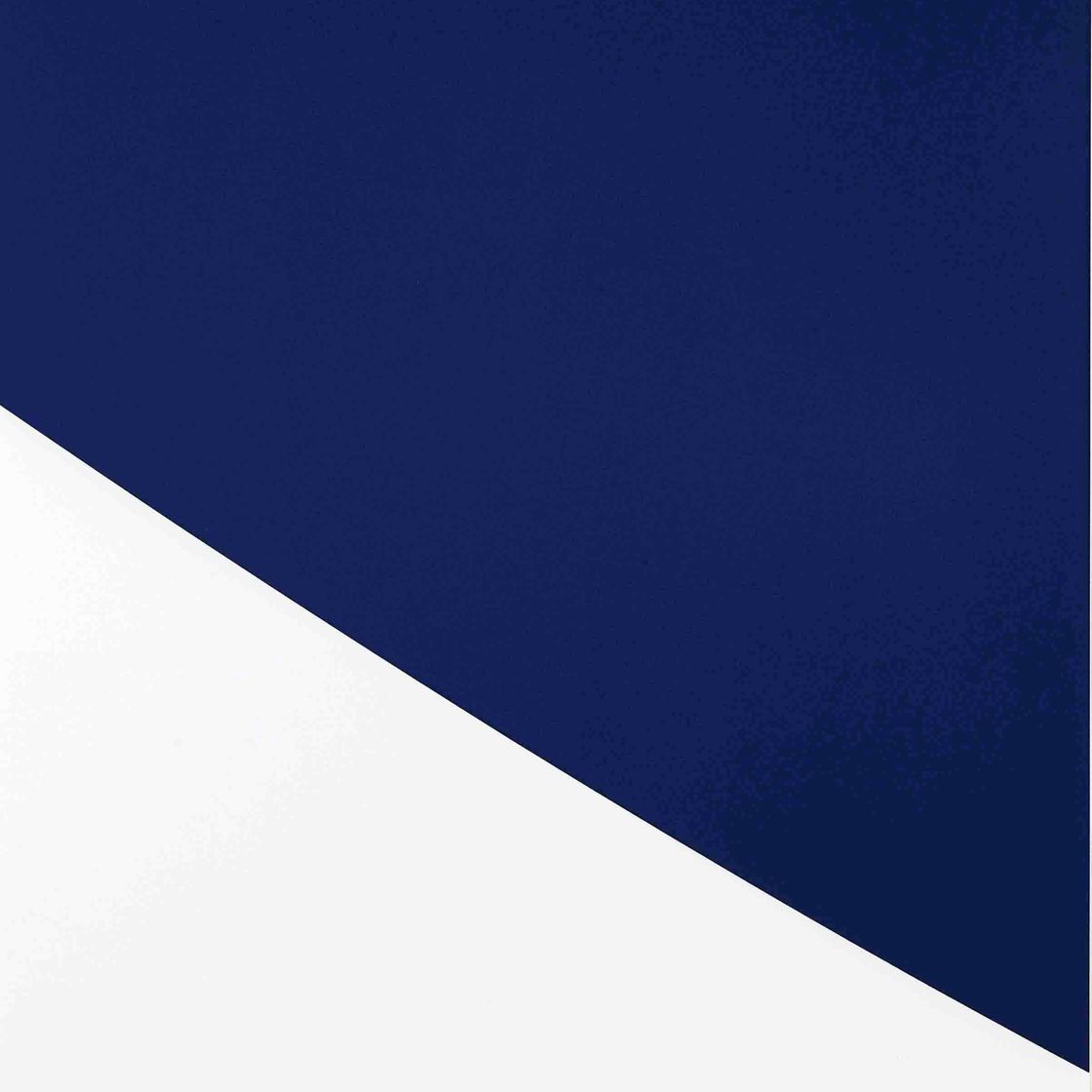 Ellsworth Kelly — Синяя кривая