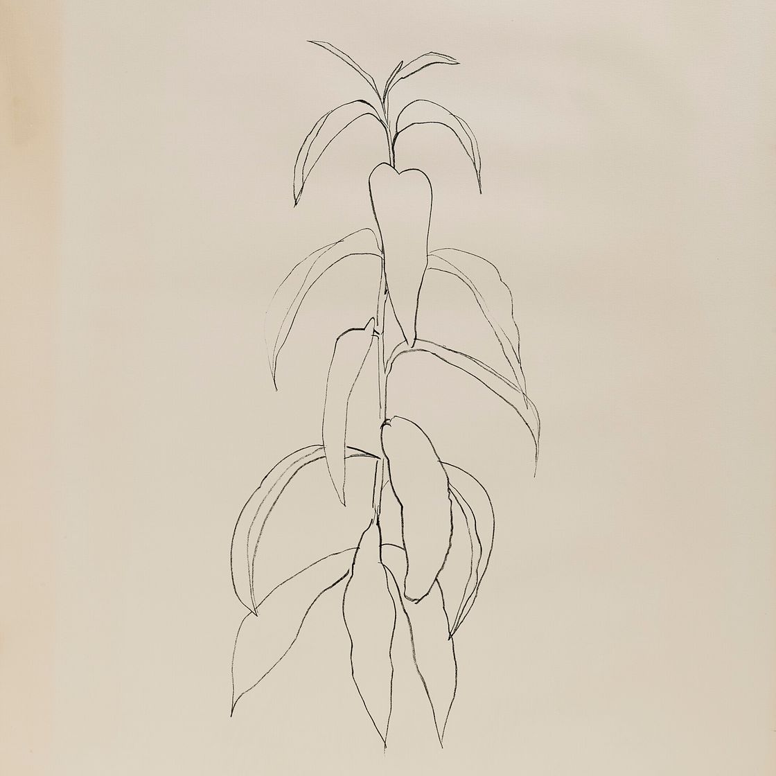 Ellsworth Kelly — Ветка персика, да: Листья