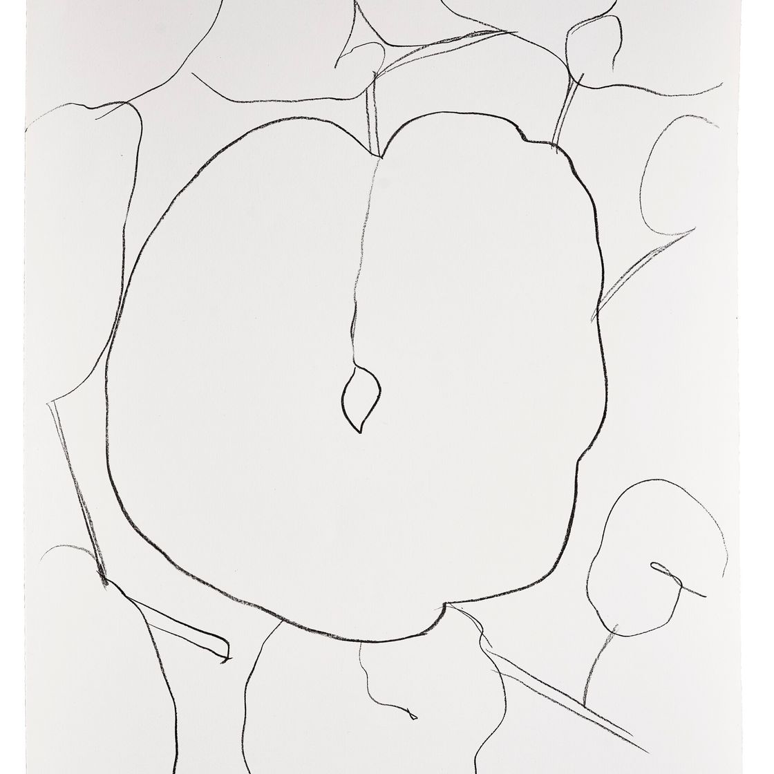 Ellsworth Kelly — Лист дыни (Feuille de melon), из серии литографий растений