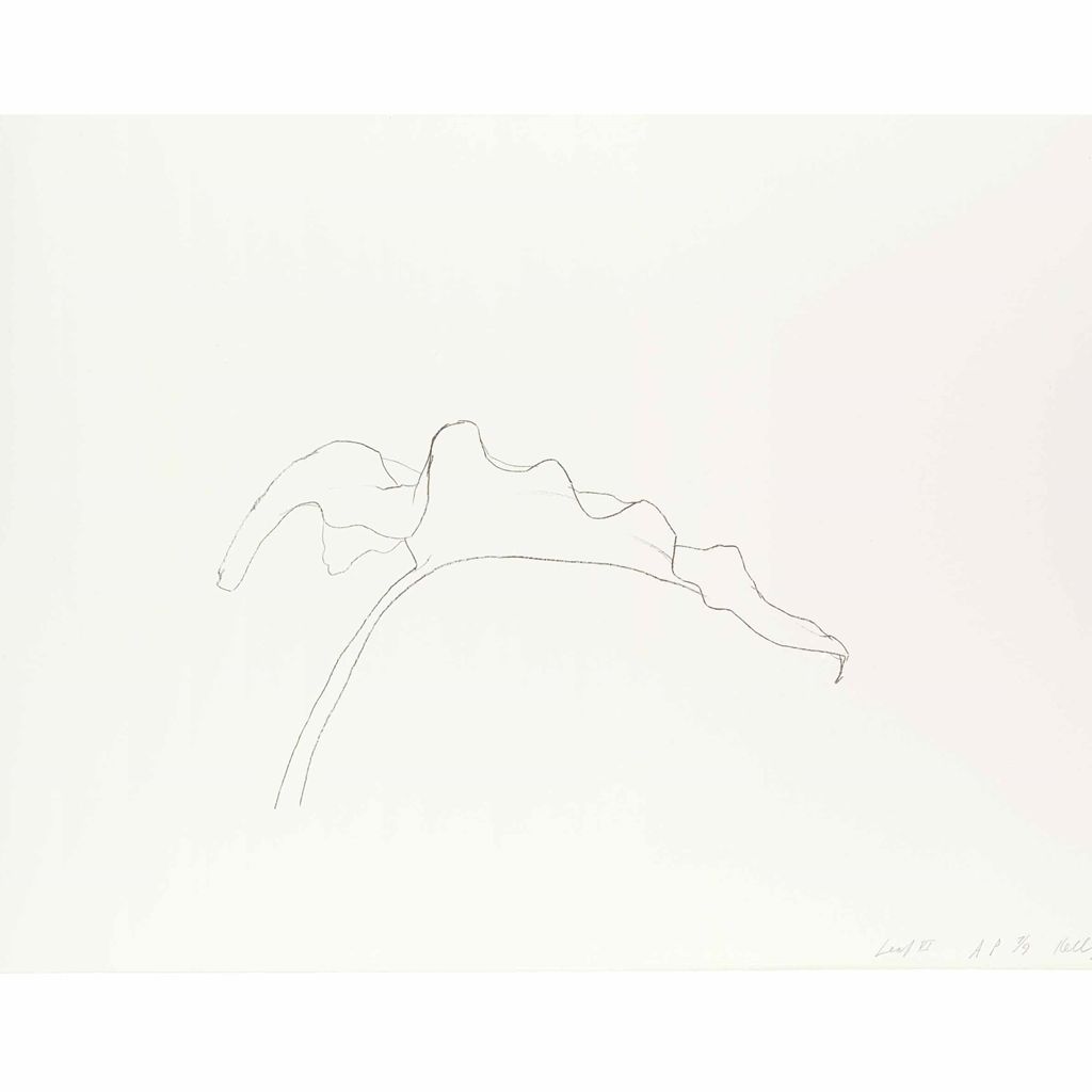 Ellsworth Kelly — Лист VI