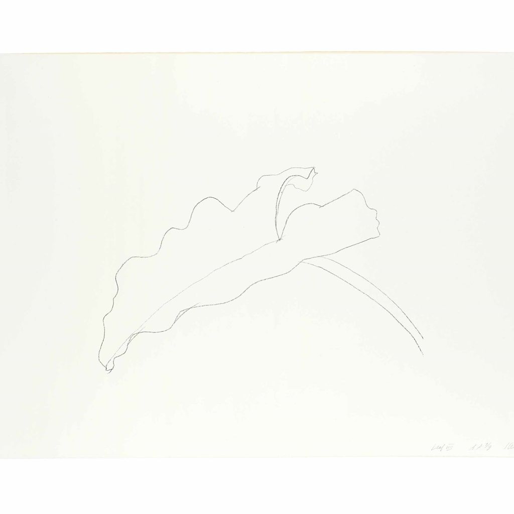 Ellsworth Kelly — Лист VIII
