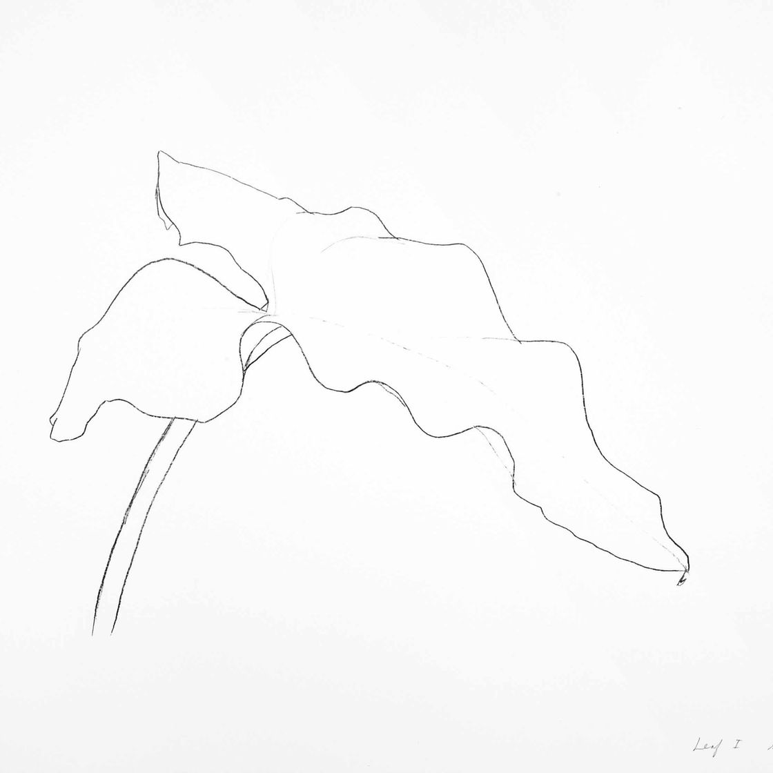 Ellsworth Kelly — Лист I, из двенадцати листьев