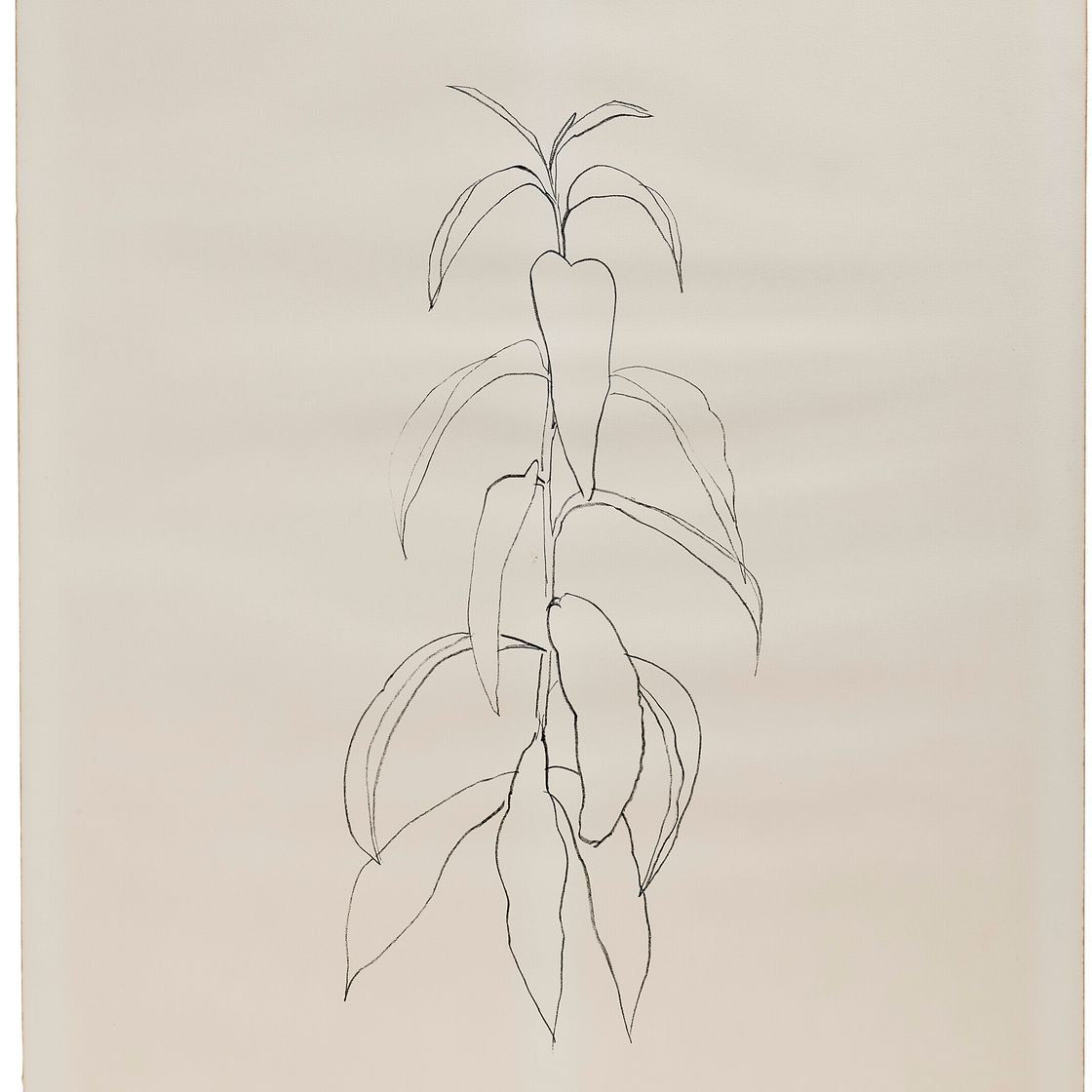 Ellsworth Kelly — Ветка персика, да: Листья