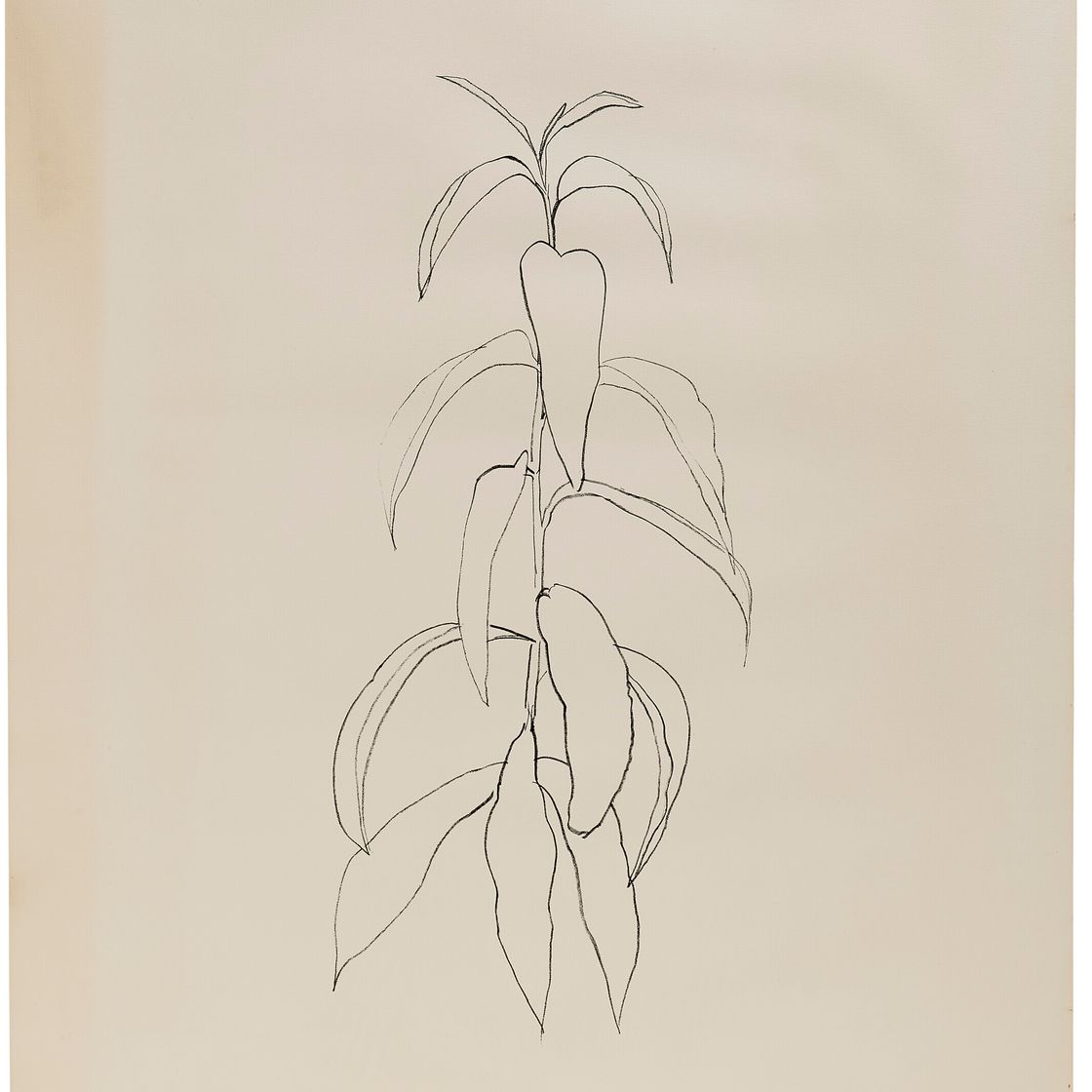 Ellsworth Kelly — Ветка персика, да: Листья