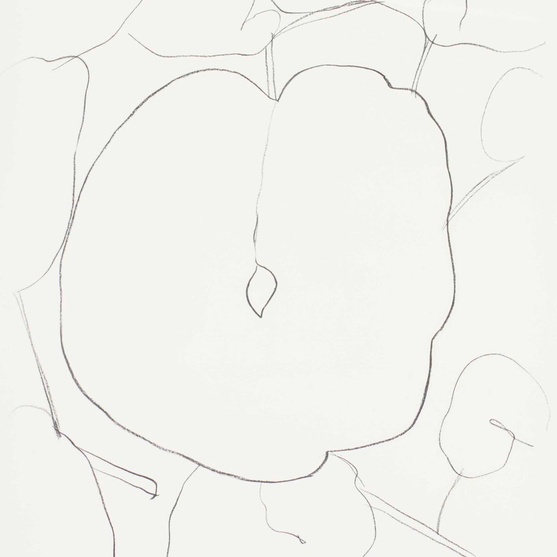 Ellsworth Kelly — Лист дыни