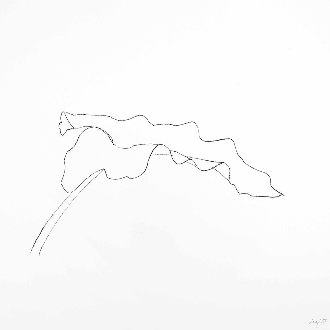 Ellsworth Kelly — Лист III, двенадцать листов