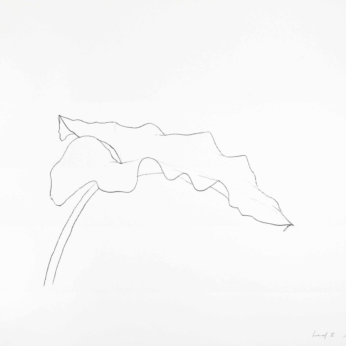 Ellsworth Kelly — Лист II, состоящий из двенадцати листьев
