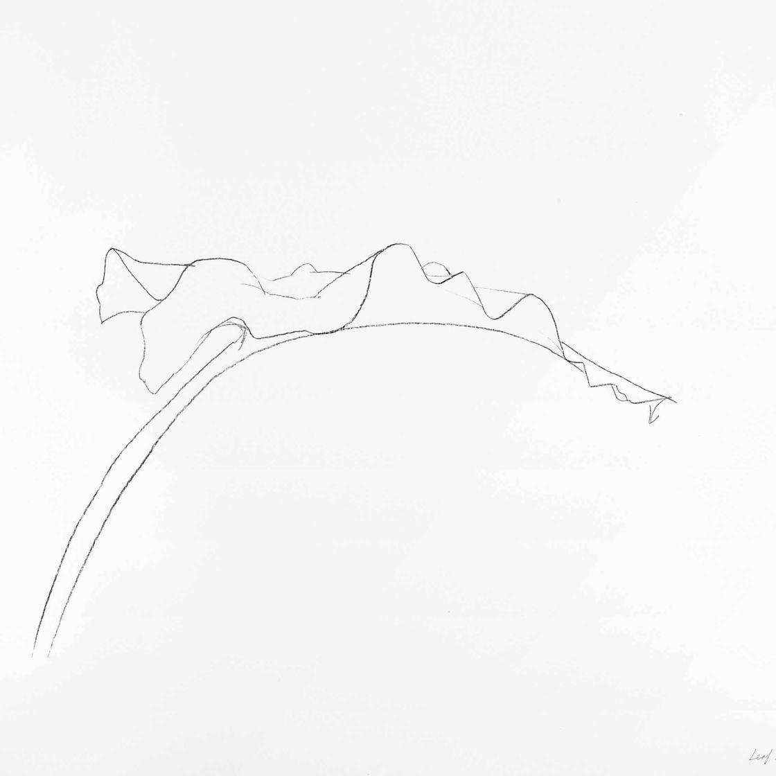 Ellsworth Kelly — Лист V