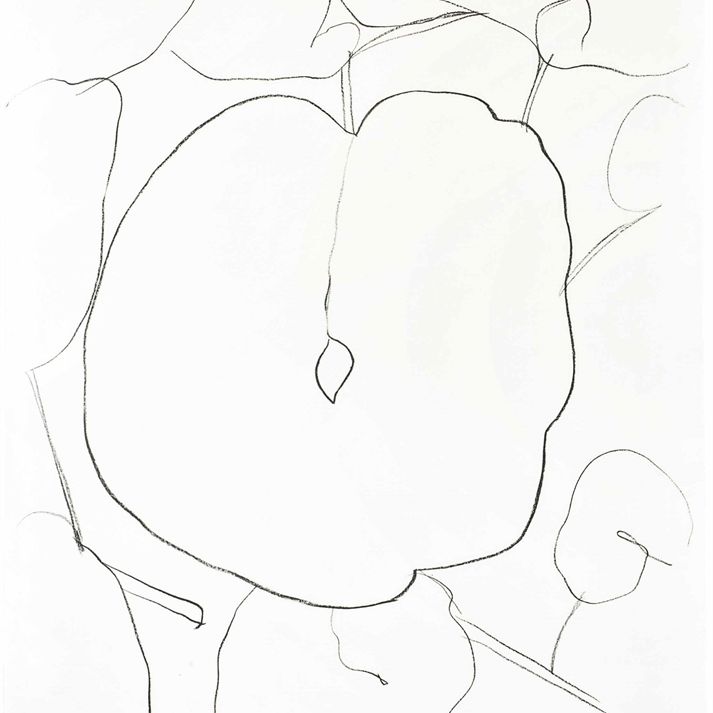 Ellsworth Kelly — Лист дыни