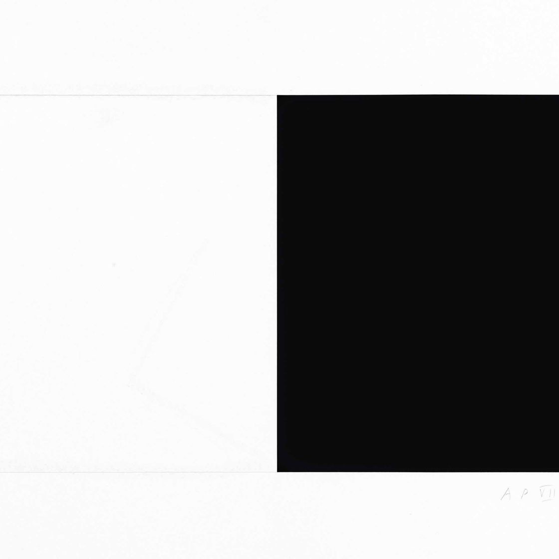 Ellsworth Kelly — Белый и черный