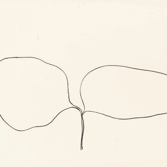 Ellsworth Kelly — Саранча (акация) (A. 52)