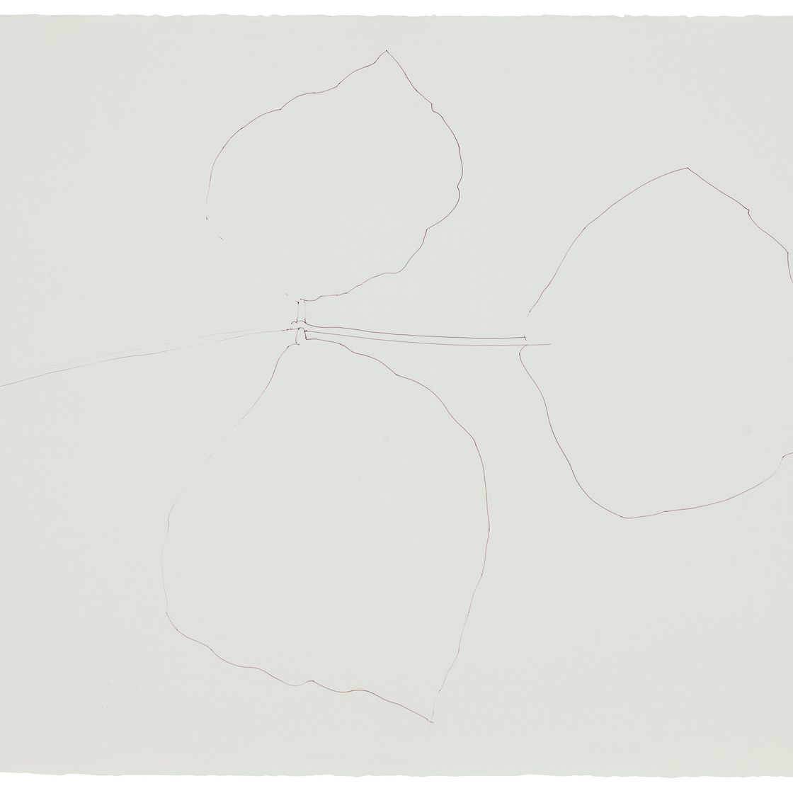 Ellsworth Kelly — Коралловый лист 5, изображение 1