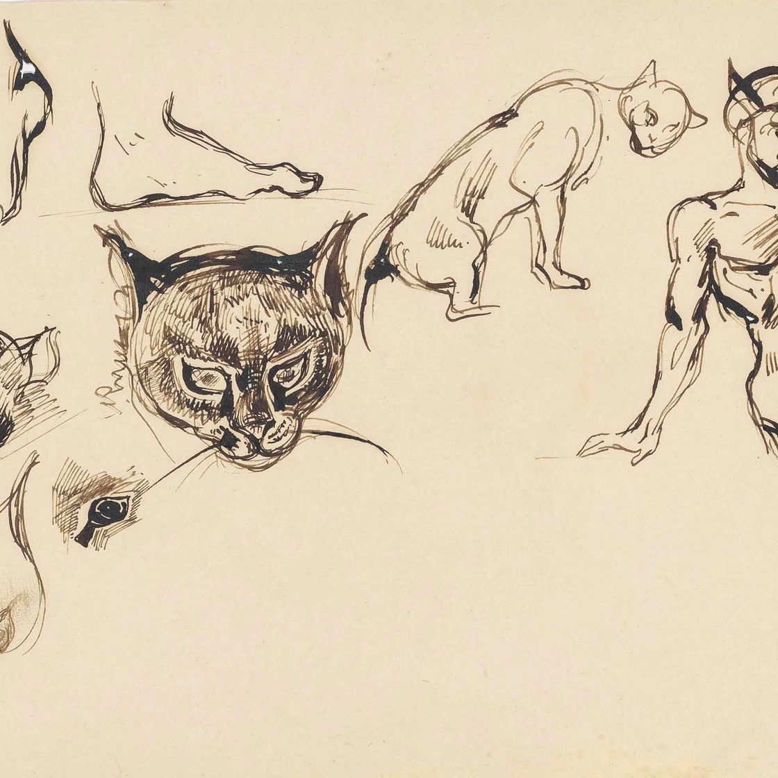 Eugène Delacroix — Этюды с изображением кошачьих голов и стоящей фигуры дьявола