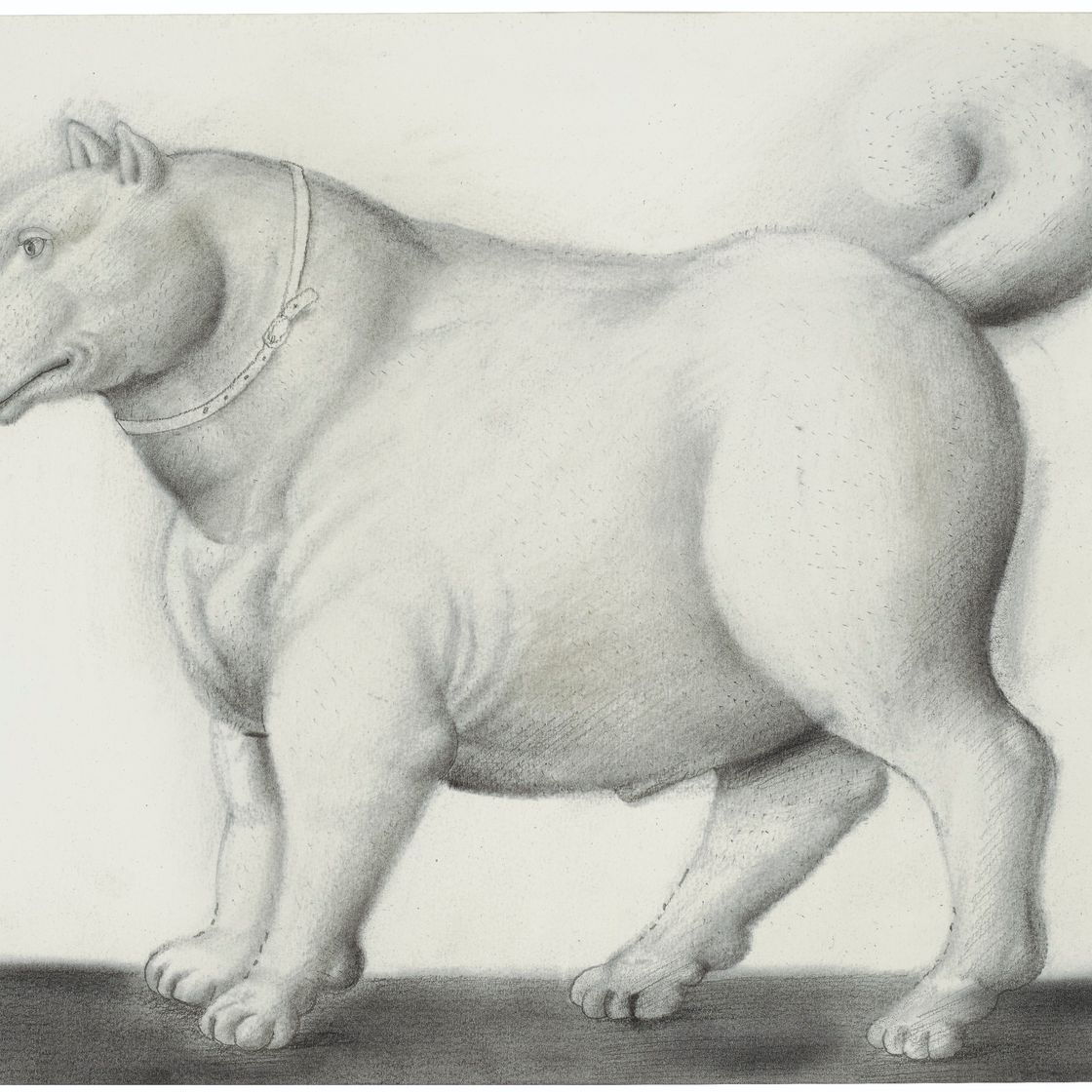 Fernando Botero — Собака