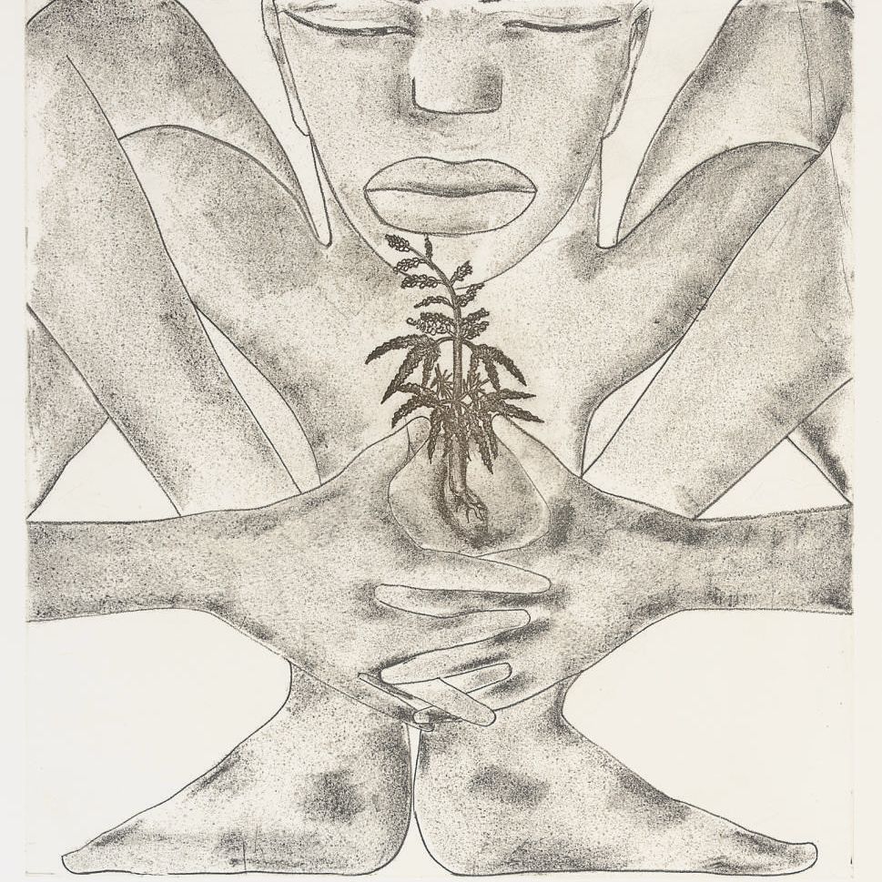 Francesco Clemente — География: Запад