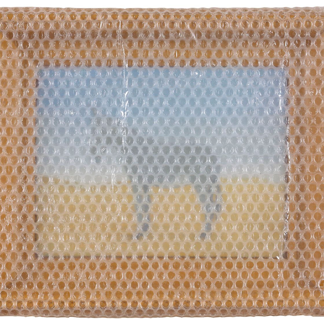 Francis Alÿs — Без названия (Пейзаж с ослом)