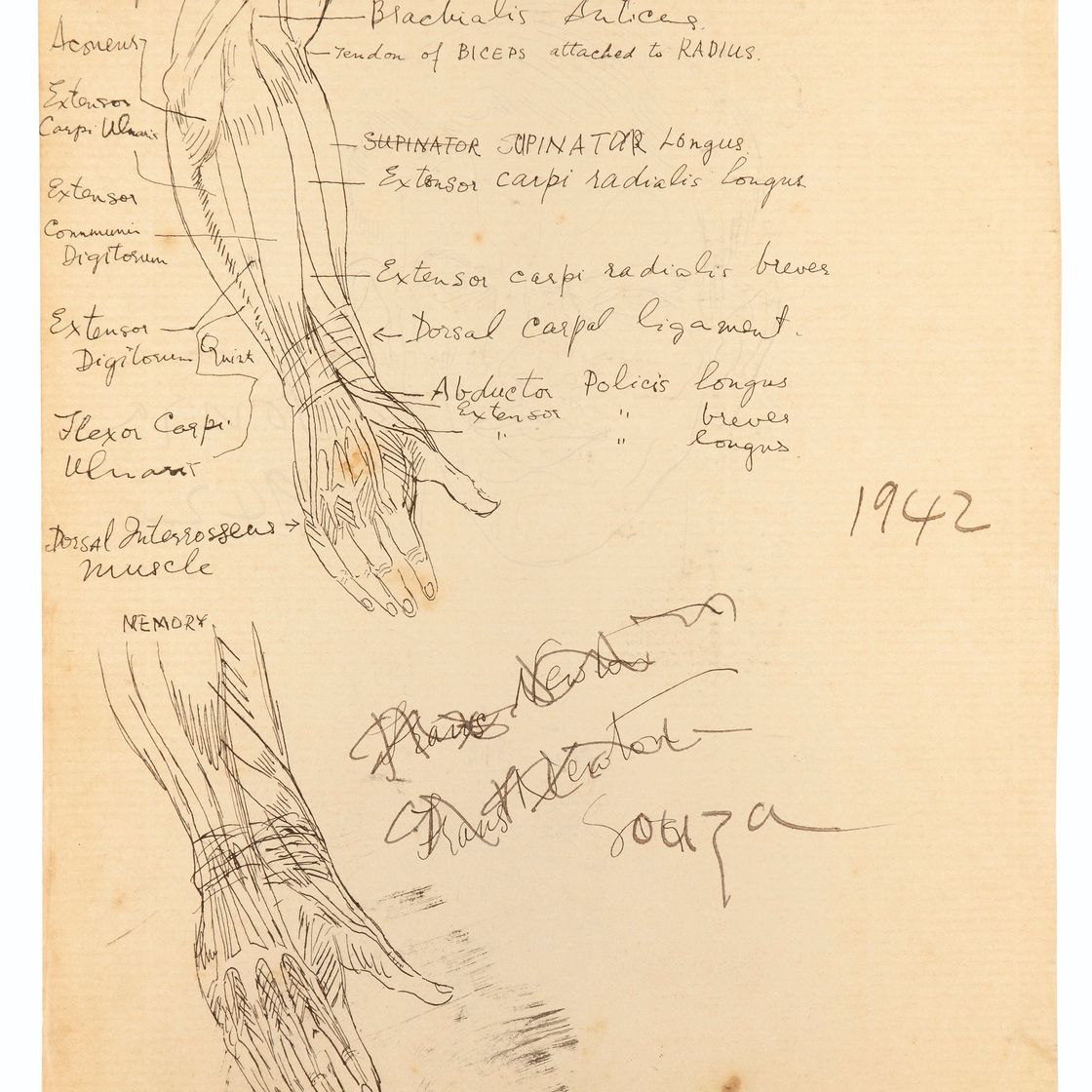 Francis Newton Souza — Без названия (автопортрет; Анатомический этюд), изображение 2