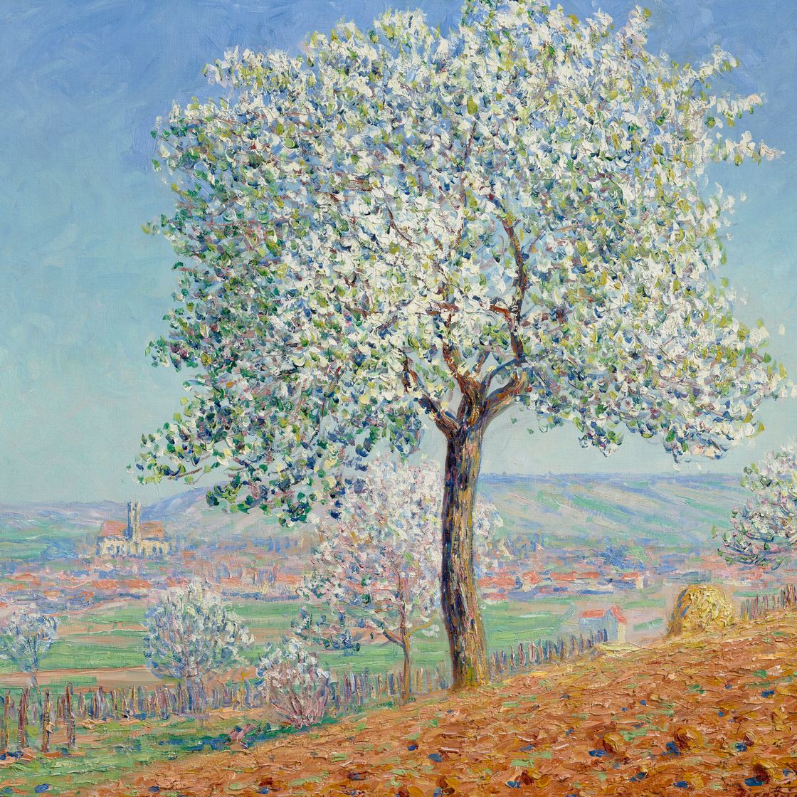 Francis Picabia — Деревья с цветами в Вильнев-сюр-Йонне, изображение 1