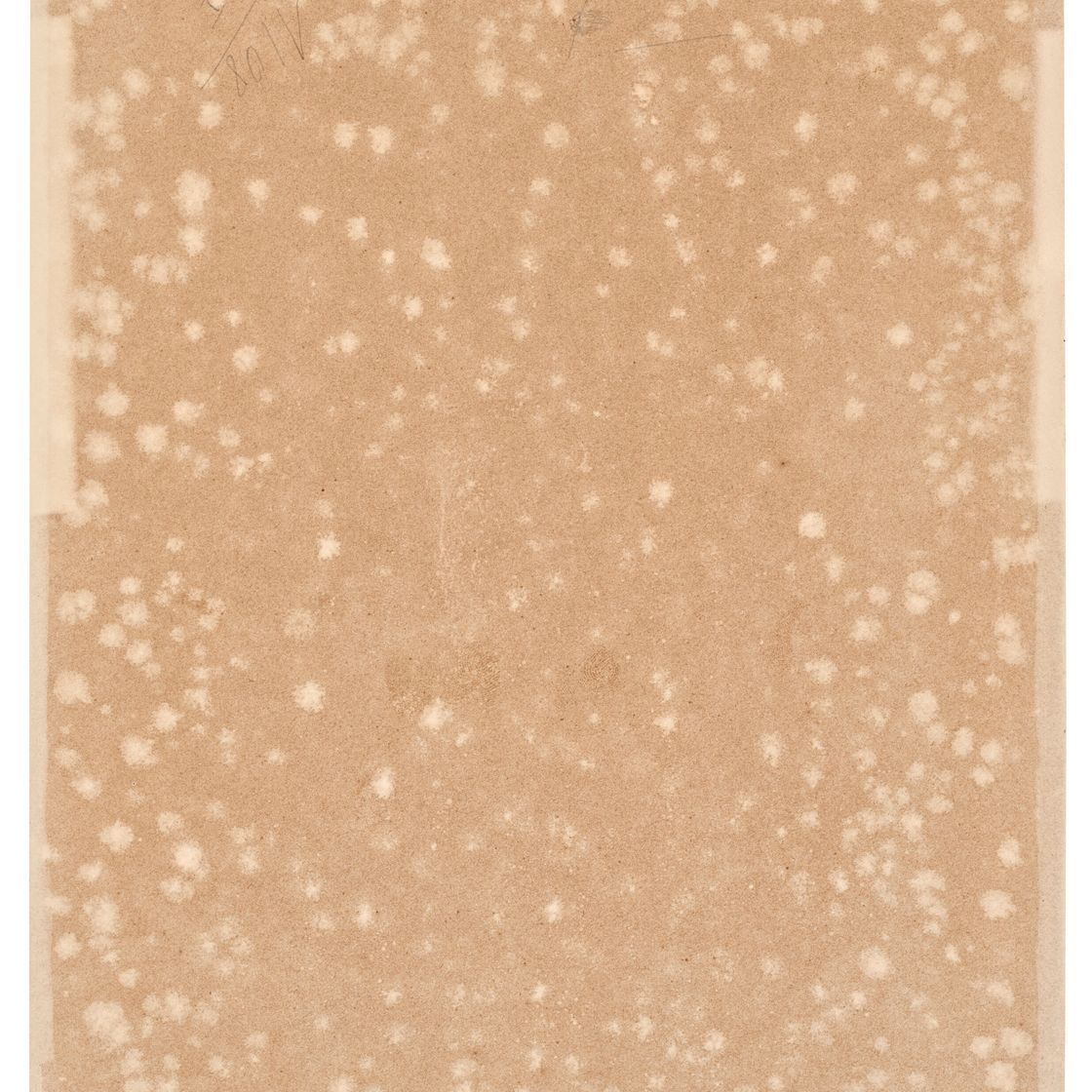 Francis Picabia — Без титра, изображение 3