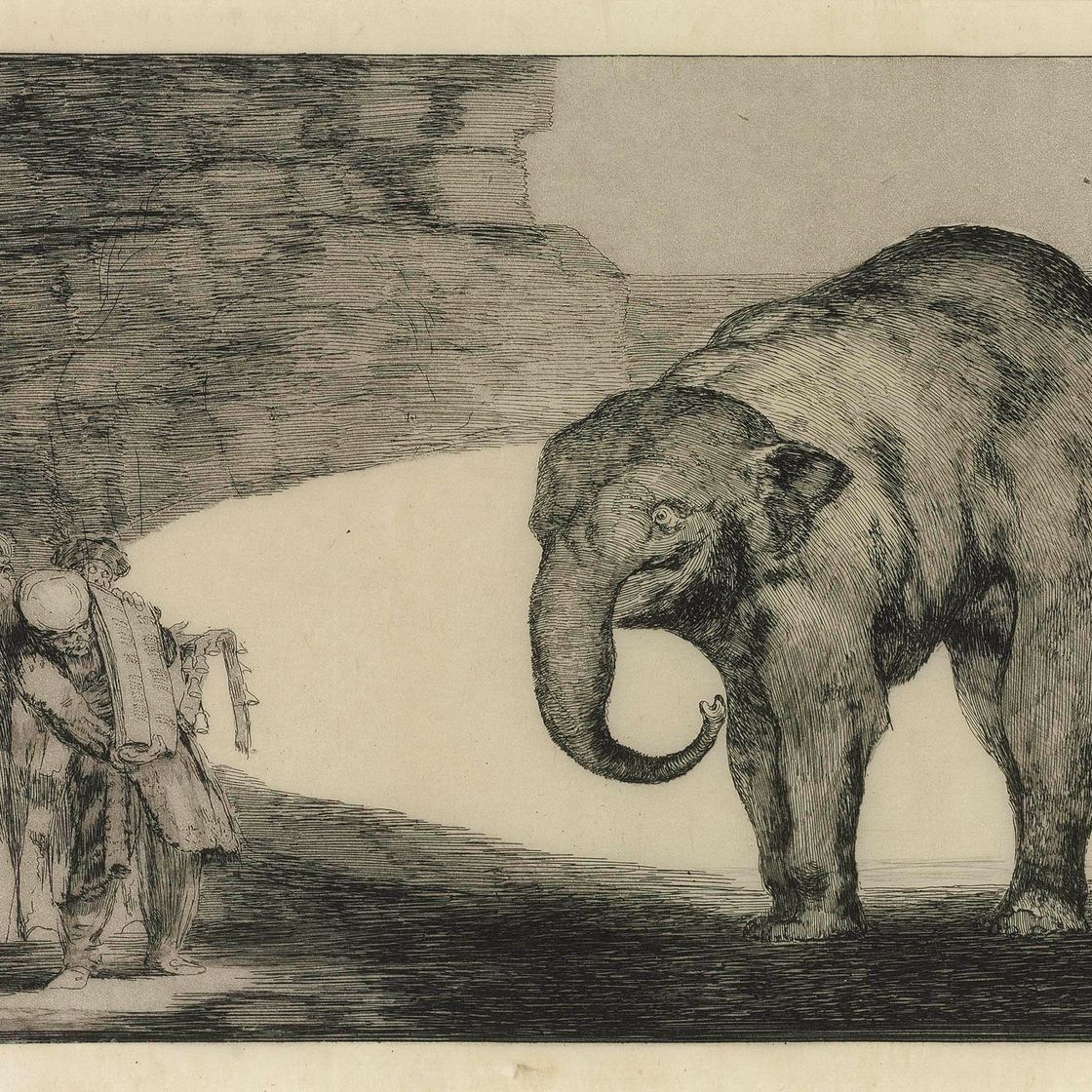 Francisco Goya — Как ты смотришь на Каскадера аль Гато?, из Лос-Провербиос (D. 222; H. 268)